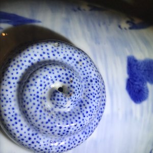 Een paar blauwwitte Chinese vazen met vissen en krabben, Kangxi merk, 19e eeuw — foto 9
