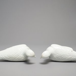Een paar Chinese blanc de Chine modellen van duiven, 18/19e eeuw — foto 6