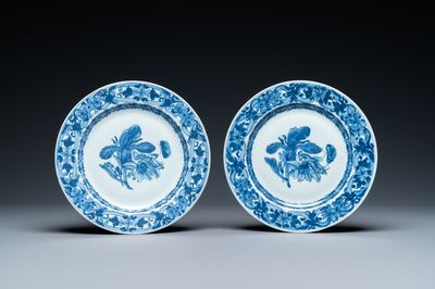 Een paar Chinese blauw-witte borden met bloemen en insecten naar Merian, Qianlong