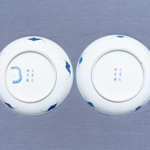 Een paar Chinese blauw-witte borden met kraanvogels, trigrammen en een draak, Guangxu merk en periode — foto 31