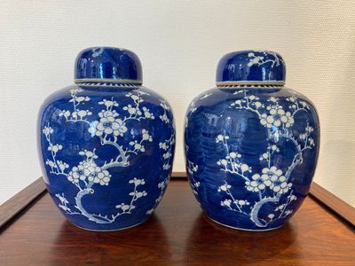 Een paar Chinese blauw-witte dekselpotten, 19e eeuw — foto 1