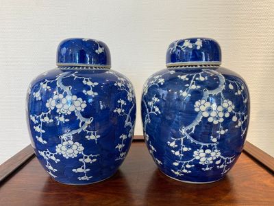Een paar Chinese blauw-witte dekselpotten, 19e eeuw — foto 2