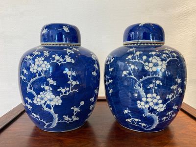Een paar Chinese blauw-witte dekselpotten, 19e eeuw — foto 3