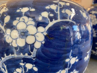 Een paar Chinese blauw-witte dekselpotten, 19e eeuw — foto 10