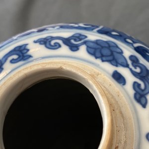 Een paar Chinese blauw-witte dekselvazen met floraal decor, Kangxi — foto 14