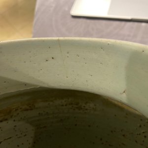 Een paar Chinese blauw-witte dekselvazen met lotusslingers, Kangxi — foto 14