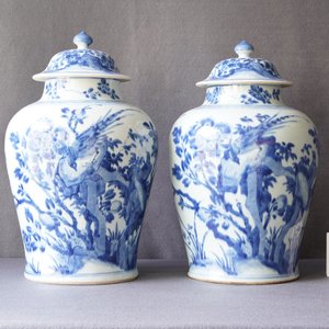 Een paar Chinese blauw-witte dekselvazen met vogels bij rotsen, Kangxi — foto 17