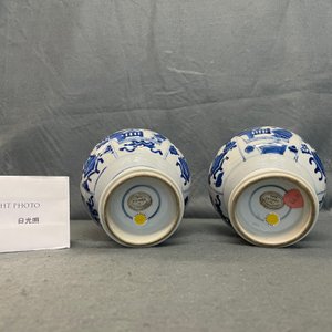 Een paar Chinese blauw-witte flesvormige vazen, Kangxi — foto 18