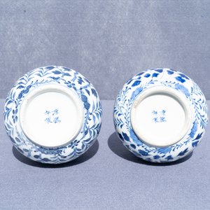 Een paar Chinese blauw-witte flesvormige vazen met draken, 19e eeuw — foto 11
