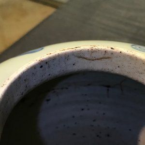 Een paar Chinese blauw-witte potten met een kylin, Transitie periode — foto 16