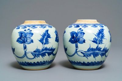 Een paar Chinese blauw-witte potten met floraal decor, Kangxi