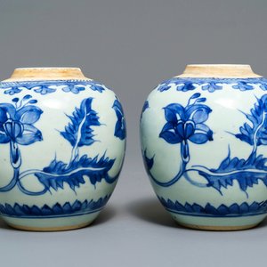 Een paar Chinese blauw-witte potten met floraal decor, Kangxi — foto 1