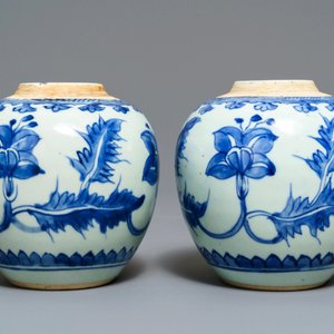 Een paar Chinese blauw-witte potten met floraal decor, Kangxi — foto 2