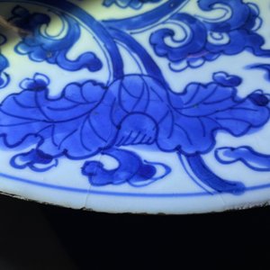 Een paar Chinese blauw-witte schotels met lotusslingers, Kangxi — foto 7