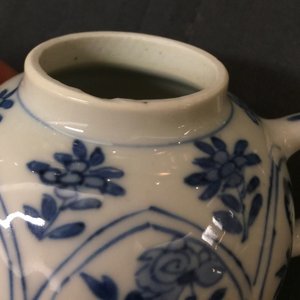 Een paar Chinese blauw-witte theepotjes met lange Lijzen, Kangxi — foto 7