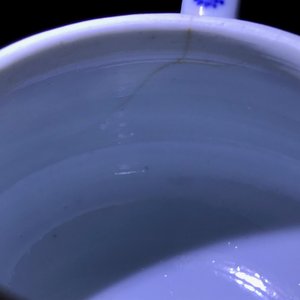 Een paar Chinese blauw-witte theepotten met 'Lange Lijzen', 'Qing Yu Tang Zhi' merk, Kangxi — foto 14