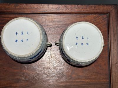 Een paar Chinese blauw-witte trommelvormige dekselpotten, Jiajing merk, Kangxi — foto 9