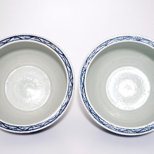 Een paar Chinese blauw-witte viskommen met lotusslingers, 19e eeuw — foto 5
