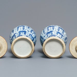 Een paar Chinese blauwwitte dekselvazen met druiventrossen, Kangxi — foto 6