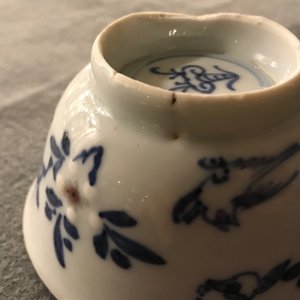 Een paar Chinese blauwwitte en onderglazuur rode koppen en schotels met vogels en bloemen, Kangxi — foto 16