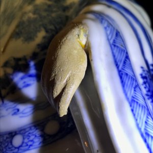 Een paar Chinese blauwwitte figuren, mog. voor de Vietnamese markt, 19e eeuw — foto 10