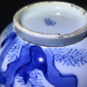 Een paar Chinese blauwwitte potjes met 'Lange Lijzen', Kangxi — foto 9