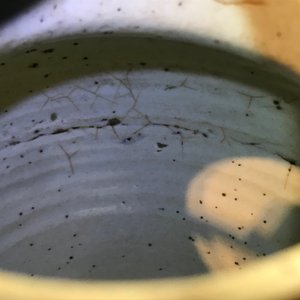 Een paar Chinese blauwwitte potten met een kylin, Transitie periode — foto 15
