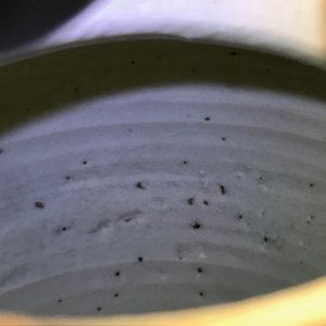 Een paar Chinese blauwwitte potten met een kylin, Transitie periode — foto 18