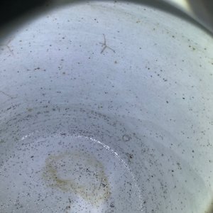 Een paar Chinese blauwwitte potten met houten deksels, 18/19e eeuw — foto 14