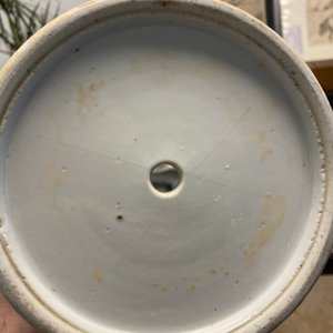 Een paar Chinese famille rose jardinières en een celadon schotel met Canton beschildering, 19e eeuw — foto 10