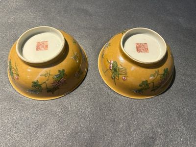 Een paar Chinese famille rose kommen met sprinkhanen op café-au-lait fondkleur, Daoguang merk en periode — foto 13