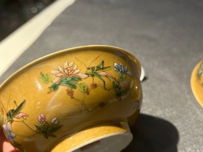 Een paar Chinese famille rose kommen met sprinkhanen op café-au-lait fondkleur, Daoguang merk en periode — foto 18