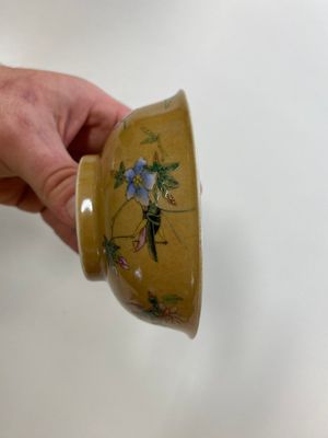 Een paar Chinese famille rose kommen met sprinkhanen op café-au-lait fondkleur, Daoguang merk en periode — foto 7