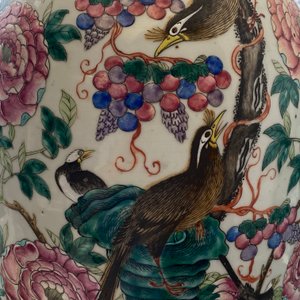Een paar Chinese famille rose vazen met vogels bij bloesemtakken, 19e eeuw — foto 19