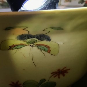 Een paar Chinese famille verte kommen met pauwen bij bloesems, Kangxi — foto 9