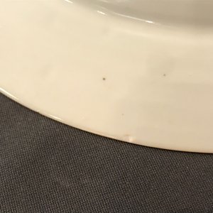Een paar Chinese ijzerrode en vergulde schotels met onderglazuur decor, Qianlong — foto 3
