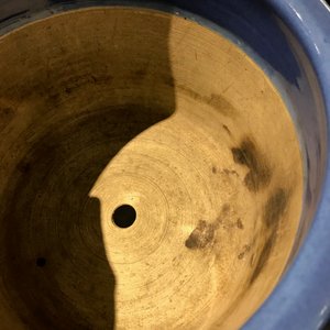 Een paar Chinese jardinières met slibversiering op blauwe fondkleur, 19e eeuw — foto 10