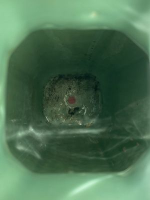Een paar Chinese octagonale monochrome celadon vazen, Xuantong merk en periode — foto 16