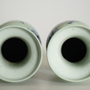 Een paar Chinese vazen met blauw-wit decor van kraanvogels op celadon fond, 19e eeuw — foto 11