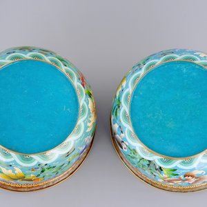 Een paar Chinese viskommen in cloisonné, 19/20e eeuw — foto 6