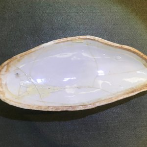 Een paar fraaie Chinese visvormige terrines met deksels, Qianlong — foto 14