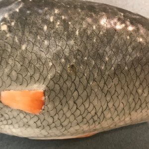 Een paar fraaie Chinese visvormige terrines met deksels, Qianlong — foto 15