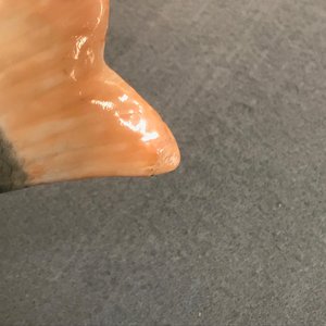 Een paar fraaie Chinese visvormige terrines met deksels, Qianlong — foto 19
