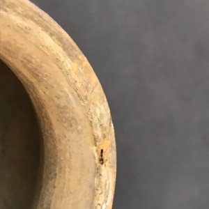 Een paar polychrome Italiaanse majolica albarelli, Deruta, 2e helft 16e eeuw — foto 18