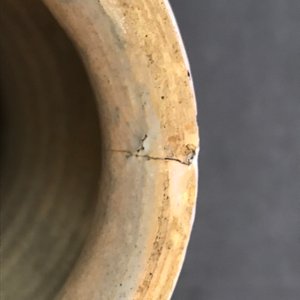 Een paar polychrome Italiaanse majolica albarelli, Deruta, 2e helft 16e eeuw — foto 10