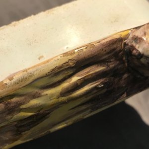 Een polychrome Brusselse dekseldoos in de vorm van een schildpad, 18e eeuw — foto 8