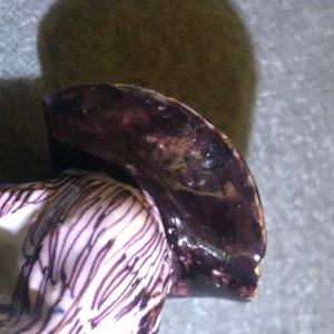 Een polychrome Delftse figuur van een man op een ton, 18e eeuw — foto 11