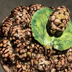 Een polychrome Delftse jampot met bramen op onderschotel, 18e eeuw — foto 14