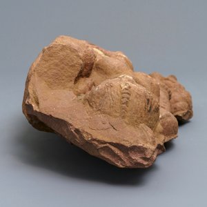 Een rood zandstenen fragment van een Yakshi, India, 14e eeuw of later — foto 6