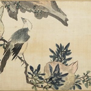 Een set van vier Chinese aquarellen van vogels bij bloesemtakken en kalligrafie, in kader, 19e eeuw — foto 2